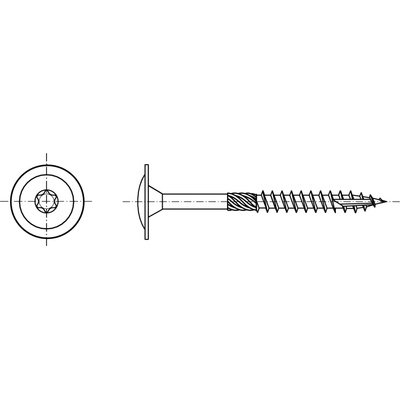PROFISTYL Vrut konstrukční tesařský talířová hlava TORX zinek BÍLÝ !!! Varianta: Konstrukční vrut talířová hlava TORX ZnB 6x60 – Sleviste.cz