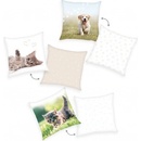 Herding Obojstranný vankúš MAČIATKO 40x40