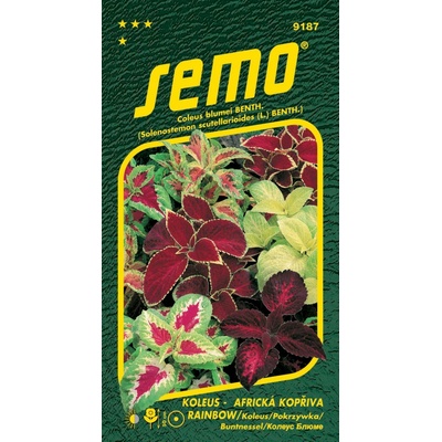 Koleus Africká žihľava Rainbow 0.15g SEMO
