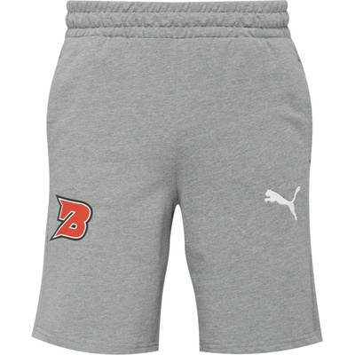 Puma TEAMGOAL CASUALS shorts BK KVIS PARDUBICE šedá Mix Bílá