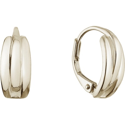 Pavona Pozlacené stříbrné náušnice kruhy 61071