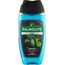 Palmolive for Men Revitalising Sport 2v1 sprchový gel 250 ml