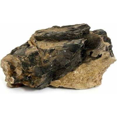 Macenauer Fossilized Wood S barvité, 0,8-1,2 kg