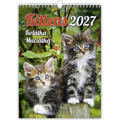 HELMA 365 Kittens/Koťátka/Mačičky 2027