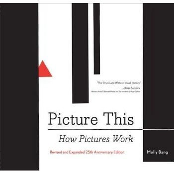 Picture This: How Pictures Work