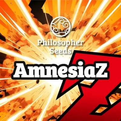 Philosopher Seeds Amnesiaz semienka neobsahujú THC 3 ks