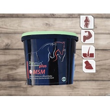 Premin Plus MSM 1 kg