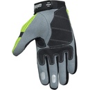 Wintex MX Soft