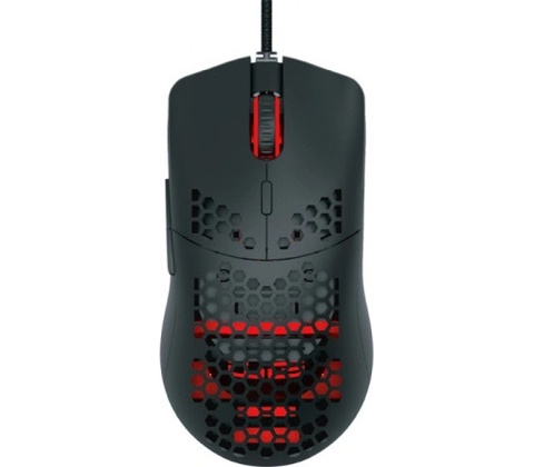 WG WG2 9525