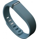 Fitbit Flex