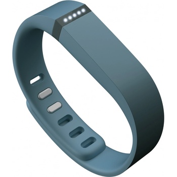 Fitbit Flex