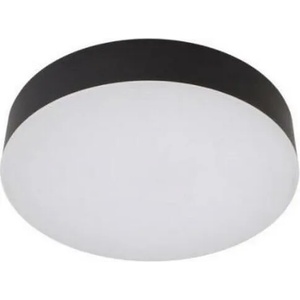 LED2 Drum W1957