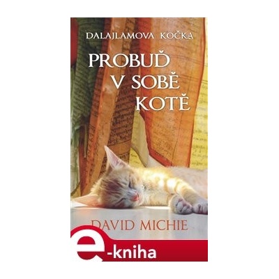 Dalajlamova kočka - Probuď v sobě kotě - David Michie