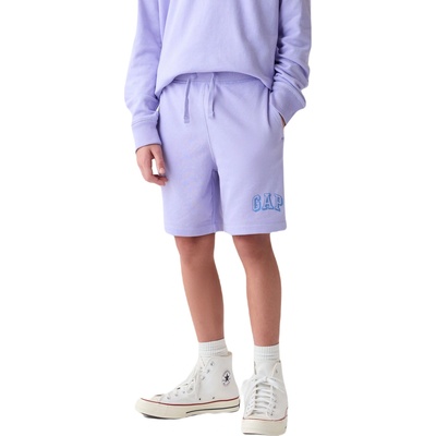 GAP V-frch fam logo l