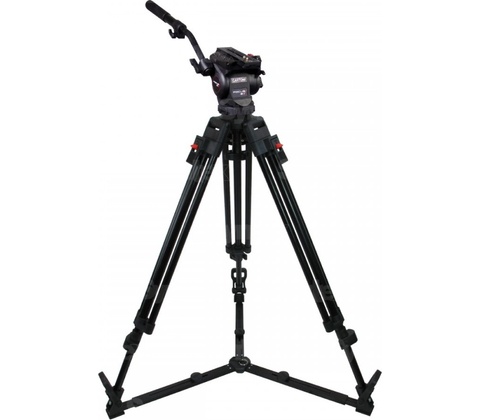 Cartoni Focus 8