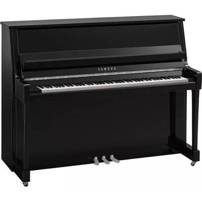 Yamaha B20 PEC