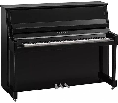 Yamaha B20 PEC