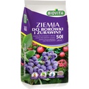 BIOVITA Substrát na čučoriedky a brusnice 50 l