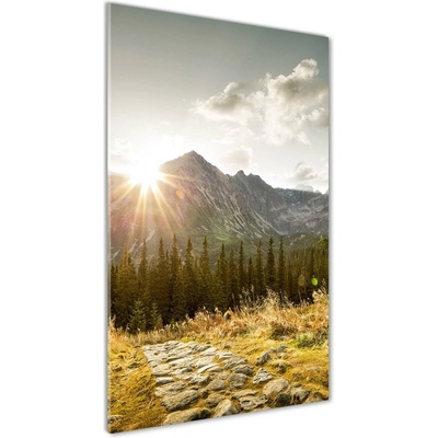 Vertikálny foto obraz fotografie na skle Západ slnka Tatry 50x100 cm