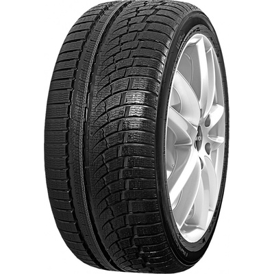 Nokian Tyres WR A4 205/55 R17 91H