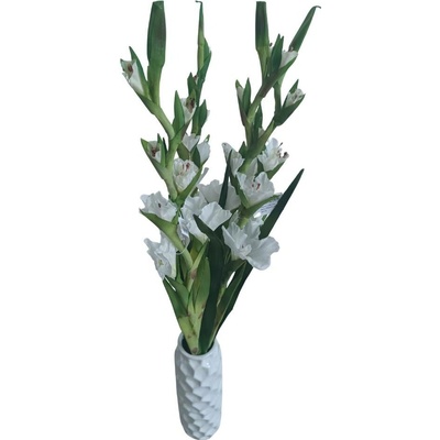 Umělá květina Gladiola / Mečík 96 cm, bílá