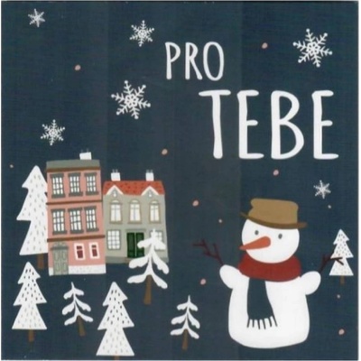 Nekupto Přání vánoční Pro Tebe 100 x 100 mm