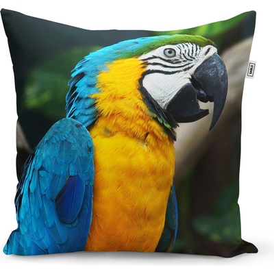 Sablio vankúš Ara 60x60