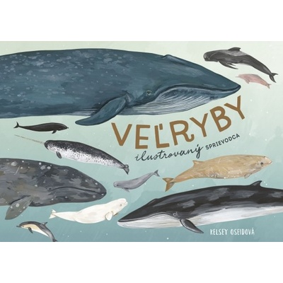 Veľryby: ilustrovaný sprievodca