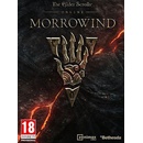The Elder Scrolls Online: Morrowind Upgrade
