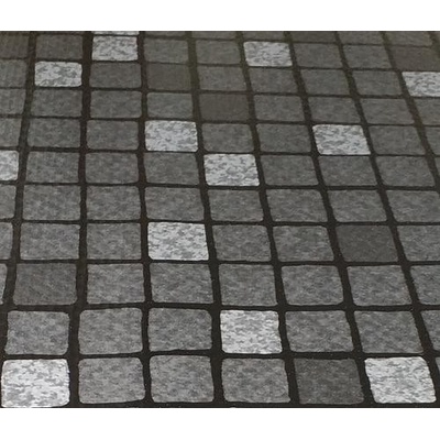 ELBE SBGD 160 SUPRA Silver Black 165 cm