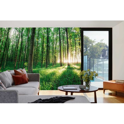 DIMEX ART Самозалепваща се флизелинова фототапета зелена гора 375 x 250 см