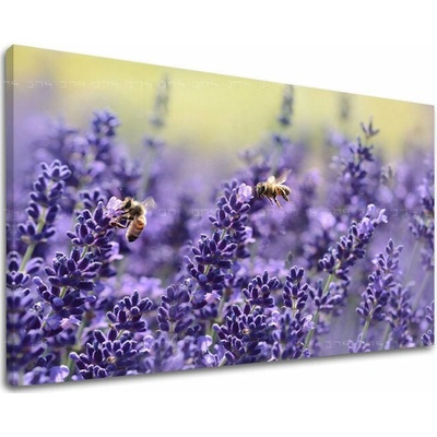 Obraz na stenu KVETY - 20x30