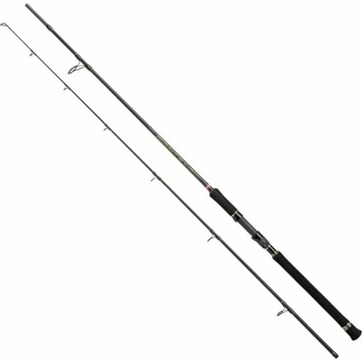 Penn Regiment III Spin and Pilk 2,44 m 100 - 250 g 2 díly