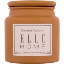 Elle Home Almond Blossom 350 g