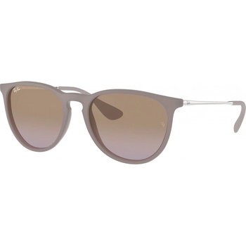 Ray-Ban ERIKA RB4171 651611