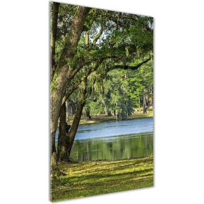 Vertikálny foto obraz sklo tvrdené Jazero v parku 50x100 cm