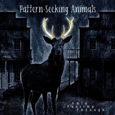 Pattern-Seeking Animals - Only Passing Through LP