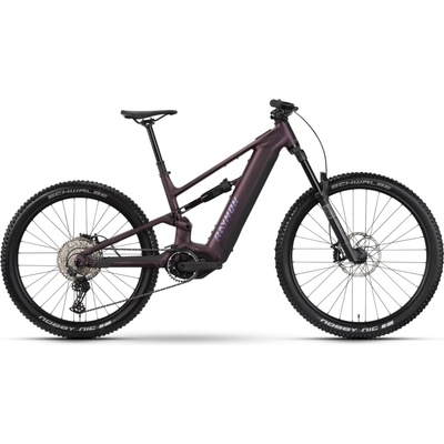 Raymon Ravor Comp 2026