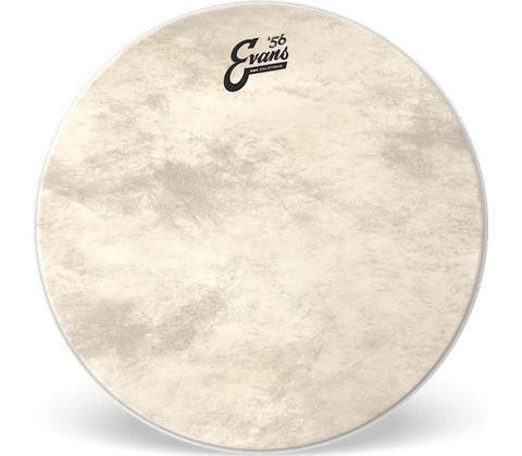 Evans BD22GB4CT