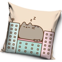 Carbotex Vankúš Pelech mačičky Pusheen 40x40