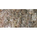 Lucky Reptile Natural Cork Background New drsné 60x30 cm