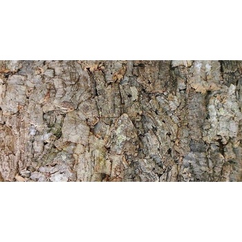 Lucky Reptile Natural Cork Background New drsné 60x30 cm