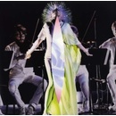 BJORK: VULNICURA STRINGS LP