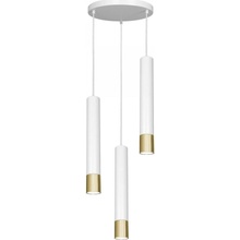 Luminex 1564