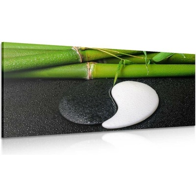 Obraz symbol Jin a Jang - 120x60