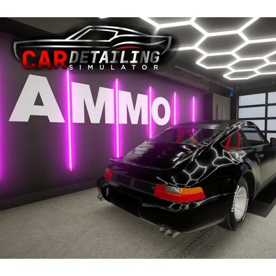 Car Detailing Simulator - AMMO NYC