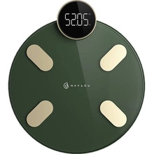 Haylou Smart Body Fat Scale