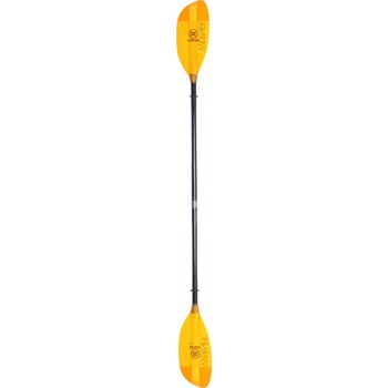 Werner Shuna