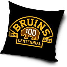 TipTrade Velurový Polštář NHL Color Boston Bruins 40x40