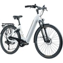 Leader Fox Vivalo 2023